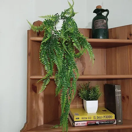 Fully Equipped Indian