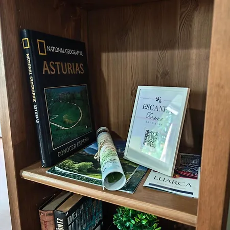 Fully Equipped Indian Appartamento Carcedo (Asturias)